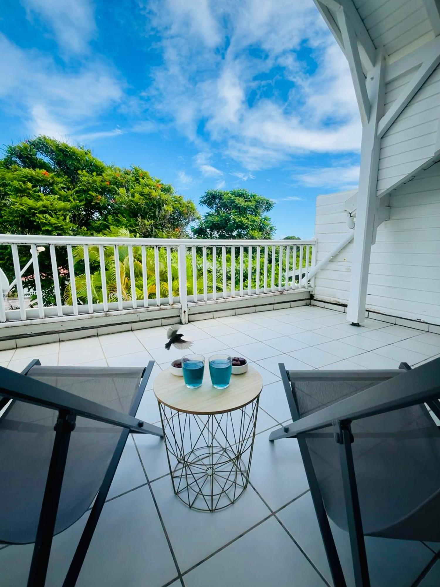 Appartement Cosy - Entre Nature Et Plages De Reve Le Gosier  Exterior photo